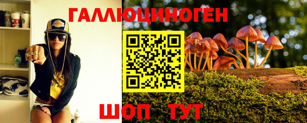 Михайловка  Псилоцибиновые грибы Psilocybe  Вход с VPN  Галлюциногенные грибы Psilocybe 